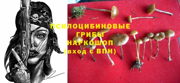 2c-b Лиски
