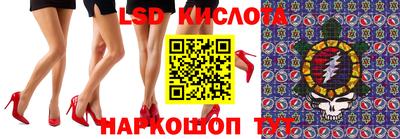прущие грибы Гусев