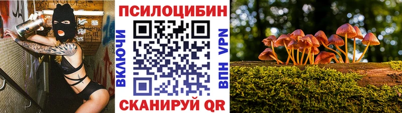 Псилоцибиновые грибы Psilocybe  Миасс 