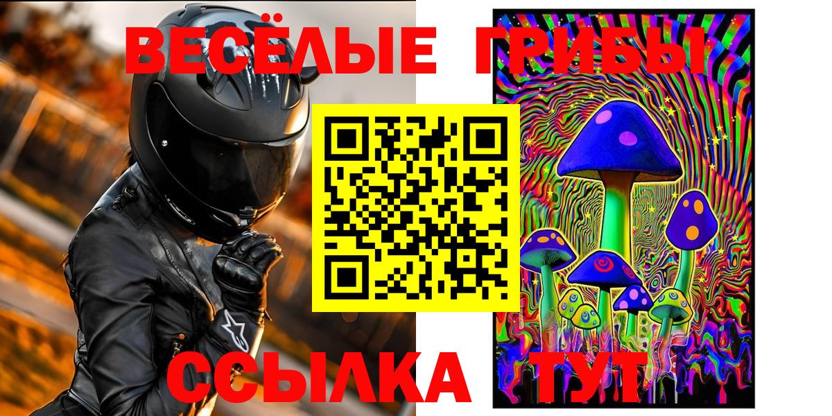 Галлюциногенные грибы GOLDEN TEACHER  Вход с VPN  Миасс 