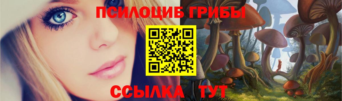 Галлюциногенные грибы GOLDEN TEACHER Миасс